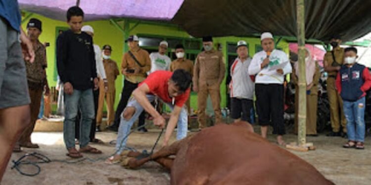 wali kota sukabumi