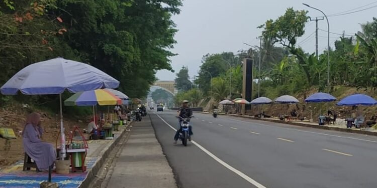 Pedagang Cincau