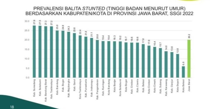 Stunting di Cianjur Menurun, Peringkat di Jabar Naik