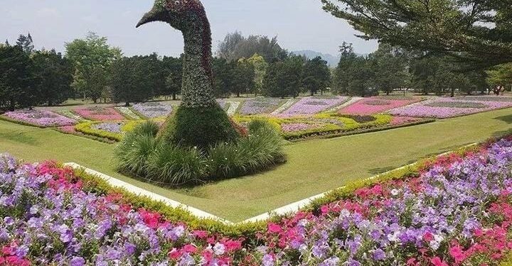 13 Spot Foto dan Wahana Menarik di Taman Bunga Nusantara