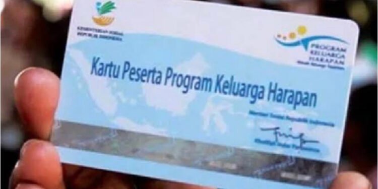 Panduan Praktis untuk Memeriksa Kelayakan Penerimaan Program Keluarga Harapan (PKH)/Sumber foto: Tangkap layar