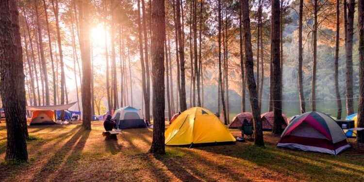 Persiapan Sukses untuk Camping Tips Menikmati Alam dengan Nyaman (Gambar istimewa)